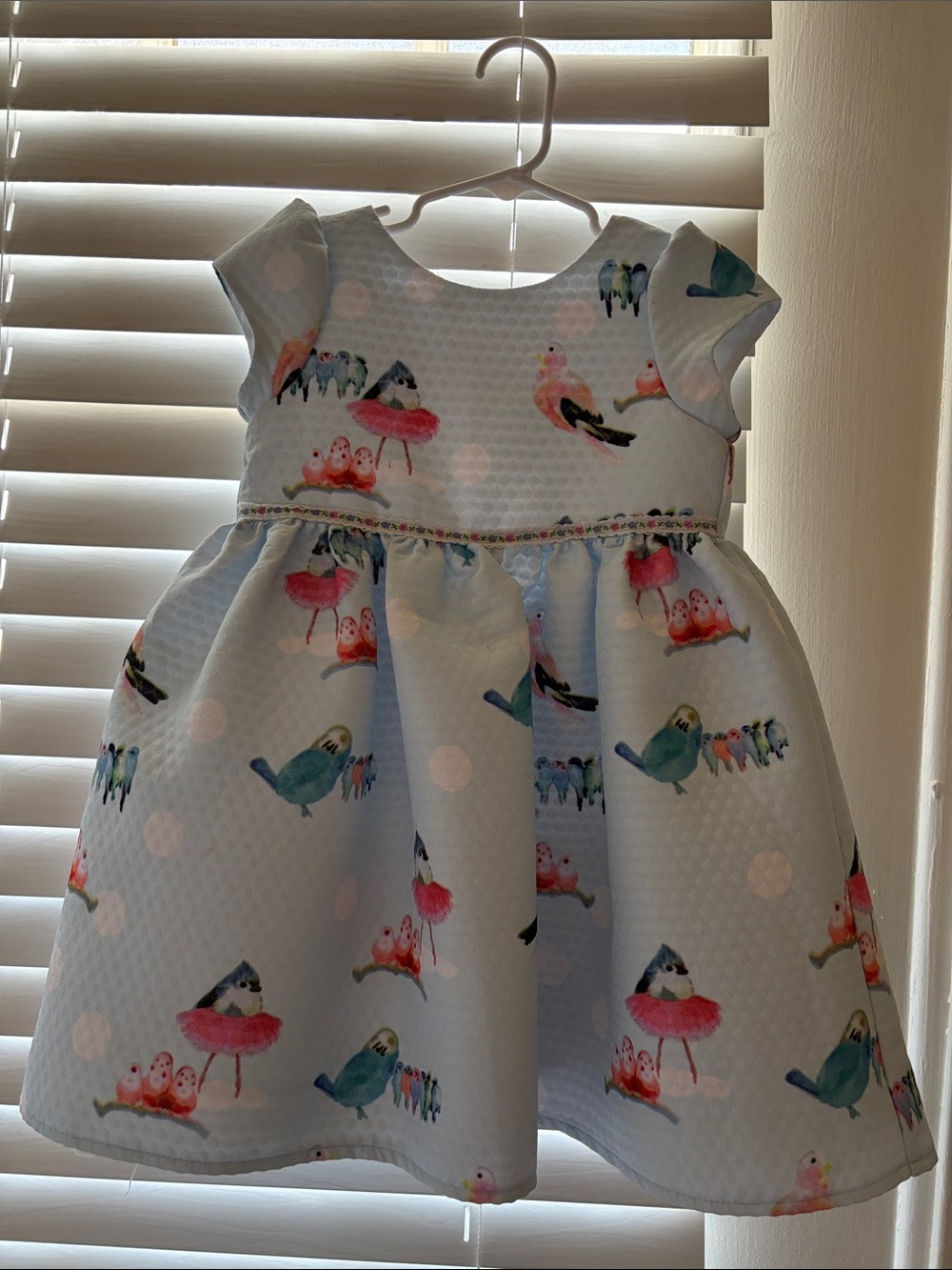 Girls Light Blue Bird Print Party Dress